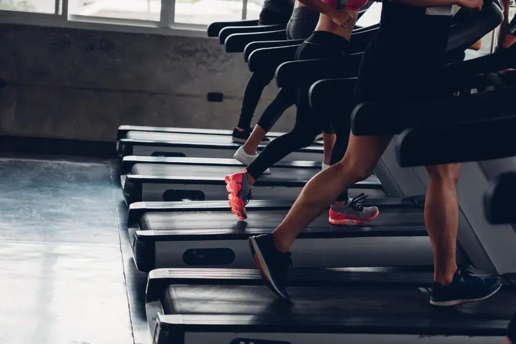 Trzy filary siły: D3, Kreatyna i Białko