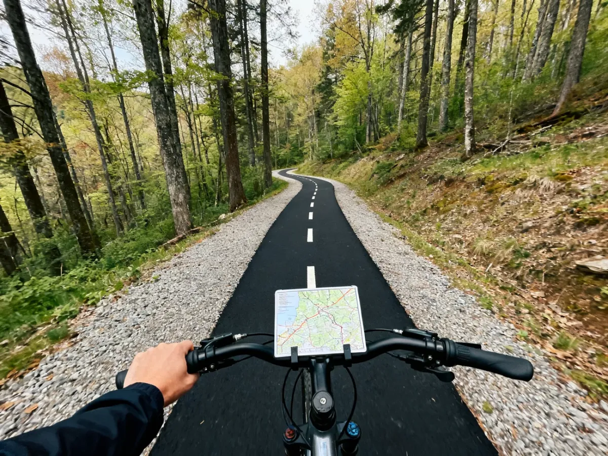 Początkujący rowerzysta na łatwym czarnym szlaku w lesie